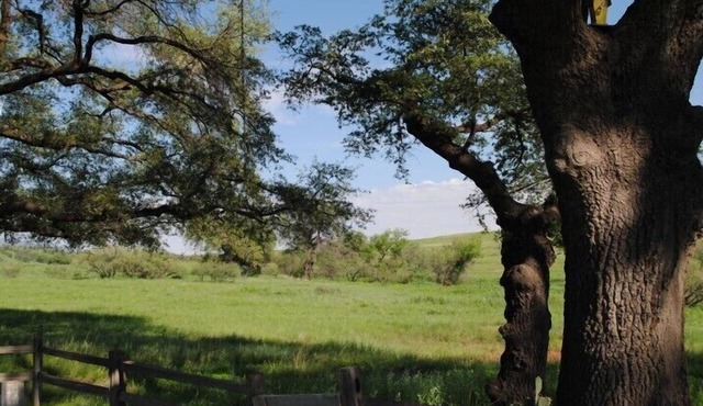 Close to Wineries, Kartchner Carverns, Patagonia, Cozy, Quiet, Scenic View