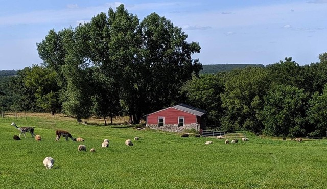 *CLOSED FOR 2026 SEASON* Schmidt Farm: an interactive farm experience