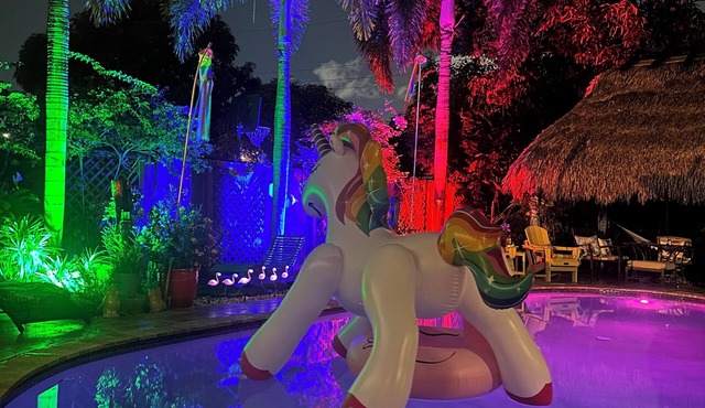 Clothes optional Tranquil Private room Paradise. In Fort Lauderdale. LGBTQ+ ❤️