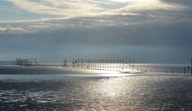 Clouded Yellow - Beautiful Modern Lodge, Kippford