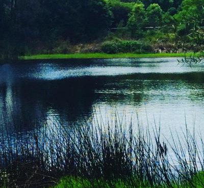 Cloudlake Mountain Retreat