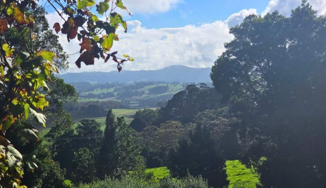 Clouds End Retreat is an architect-designed 1-bedroom house for up to 2 guests.