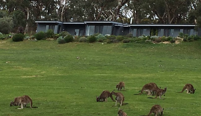 CloudsNest - secluded hills property