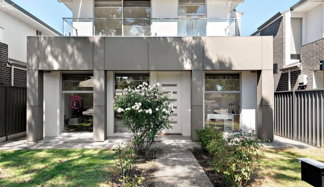 Clover - The Split-Level Sanctuary in Payneham South
