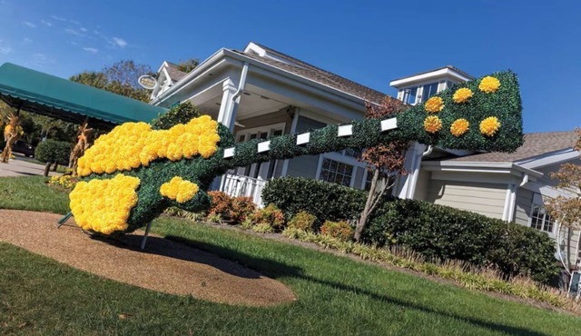Club Wyndham Nashville 2bedroom 2bath multiple weeks available!