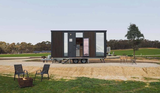 Clyde at Sheltered Paddock by Tiny Away