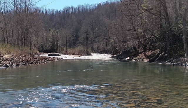 Coal Siding Cabin on the Cherry River. Family and pet friendly!