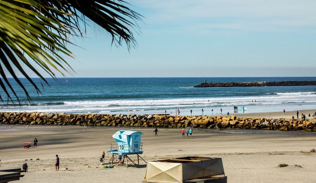 Coastal Beauty: A Beachfront Condo with Spectacular Natural Views!