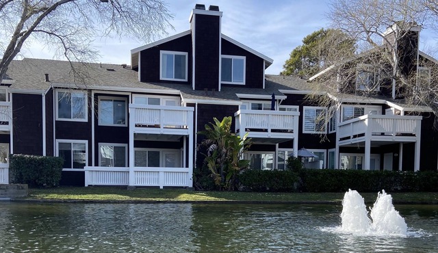 Coastal Bliss at a Serene Waterfront Getaway