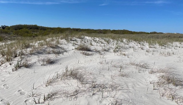 Coastal Charm Meets Cozy Comfort - 1BR Beachside Beauty!