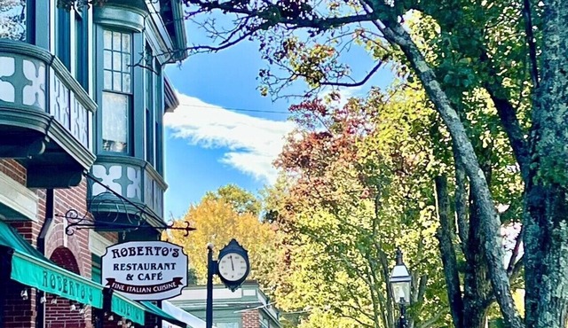 Coastal cottage in downtown historic Bristol, RI. Walk to restaurants & water.