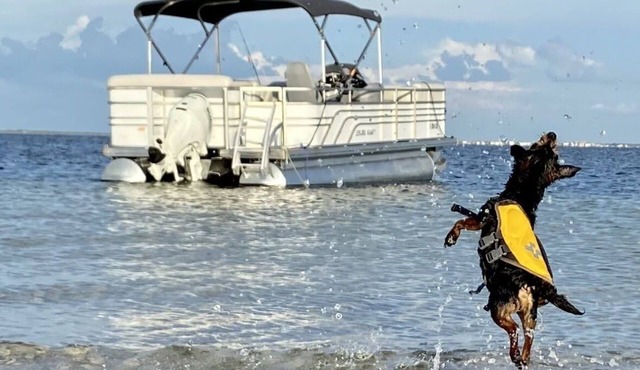 Coastal Escape Awaits: Enjoy a Complimentary Pontoon Boat Adventure!