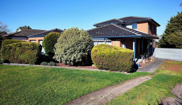 Coastal Family Entertainer