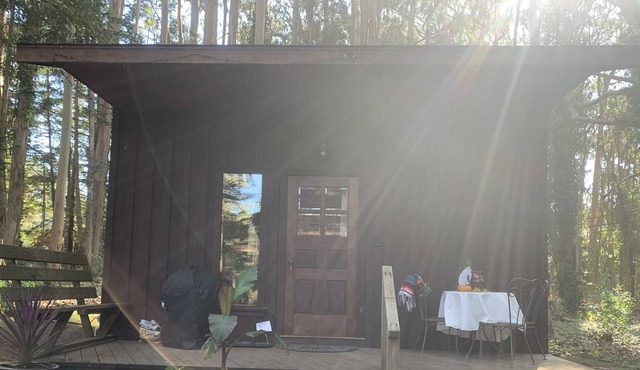 Coastal Forest Cabin