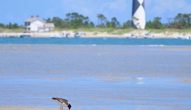 Coastal SeaClusion Vacation Rental is located in Down East, Carteret County, NC