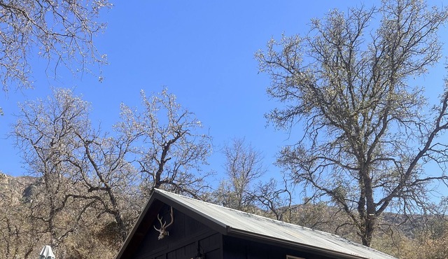 Cobalt Canyon Off Grid Glamping Oasis