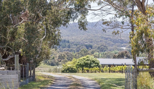 Cobaw Views – a Mount Towrong Vineyard retreat