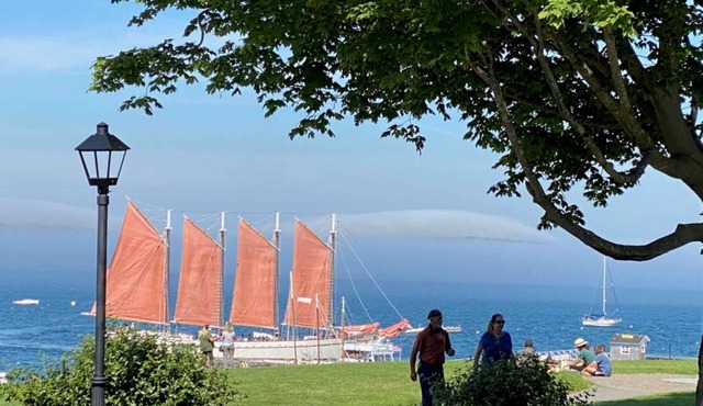 Cobble Cove, pristine new cabin nestled on the shore of crystal-clear Long Pond.