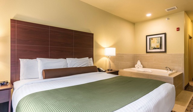 Cobblestone Hotel & Suites - Harborcreek