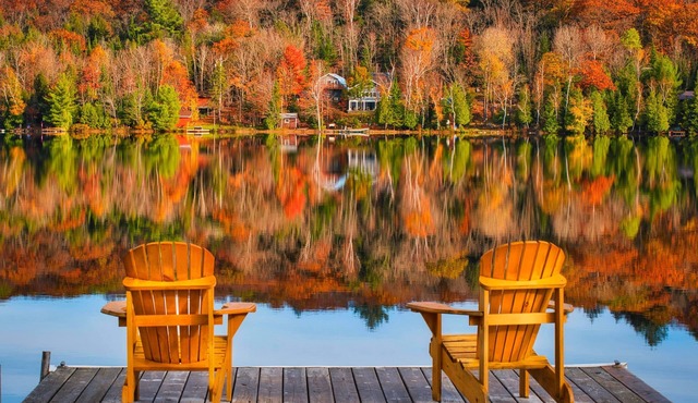 Coby’s Cove - Four Season Cottage Huntsville Muskoka Waterfront