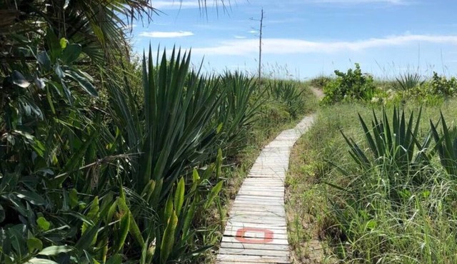 Cocoa Beach The #1 Surf Beach The Mulvaine Beach House
