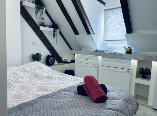 Cocon au cœur de Strasbourg
