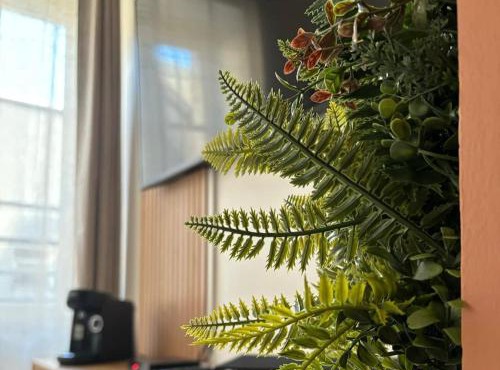 Cocon du Berry cœur historique