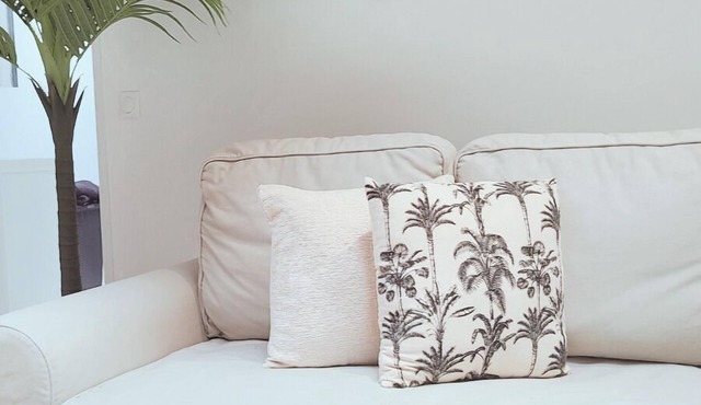 Cocon Palmier - Vitré