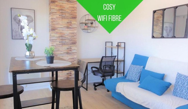 Cocon Palois studio cosy dernier étage WIFI Fibre