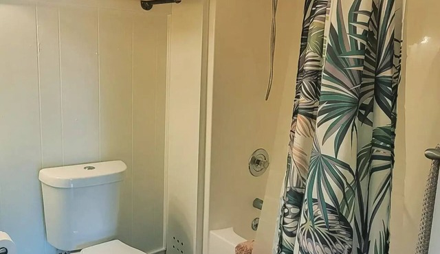 Coconut Cottage 2 Bedroom on Lake Chatuge!