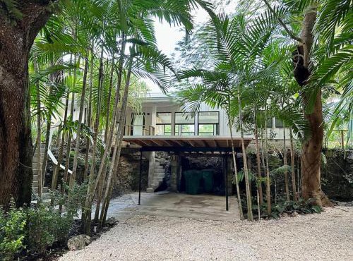 Coconut Grove Mid-Century Jungle Oasis