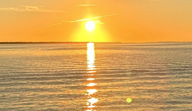 Coconut In Paradise Key largo