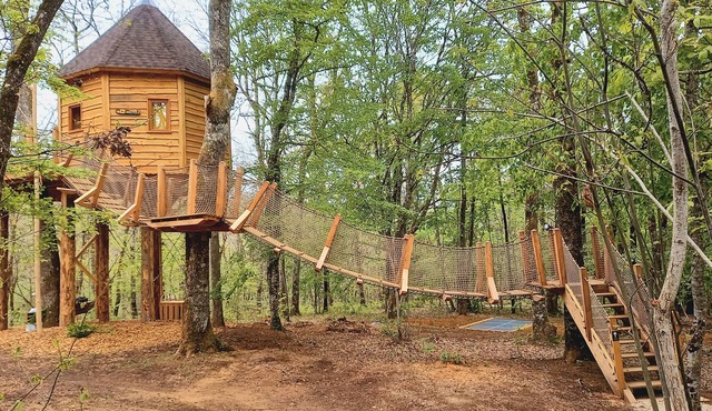 Cocoon cabin with spa in the trees