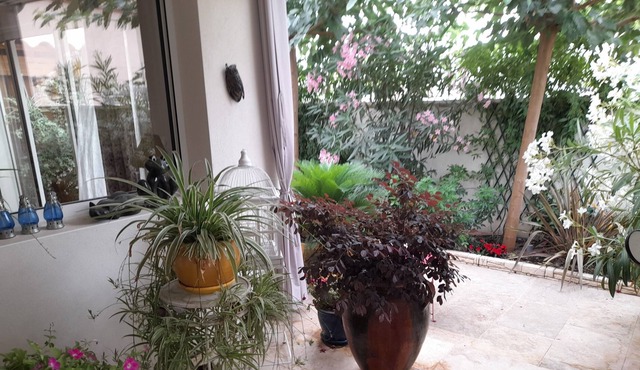 Cocooning house, completely renovated