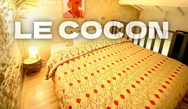 🏟 Cocoon in the Historic heart / 2 steps from the arenas 🎉