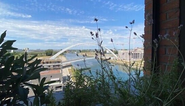 Cocoon on the Rhine 9th floor with balcony!