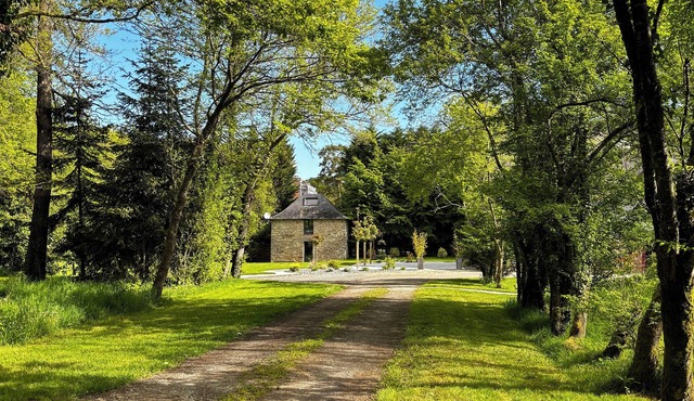 Cocooning cottage in the middle of the forest