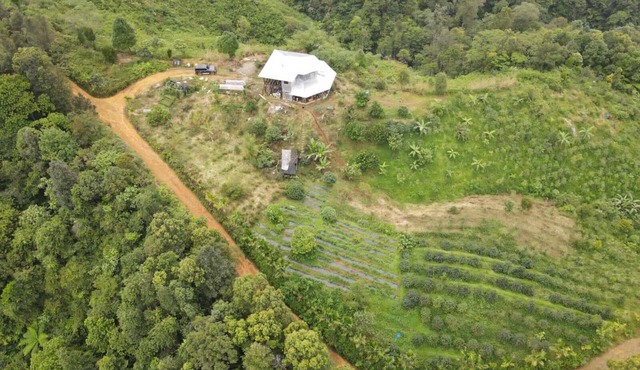 Coffee Farmstay and Roastery in Sumatra, offgrid, authentic, natural