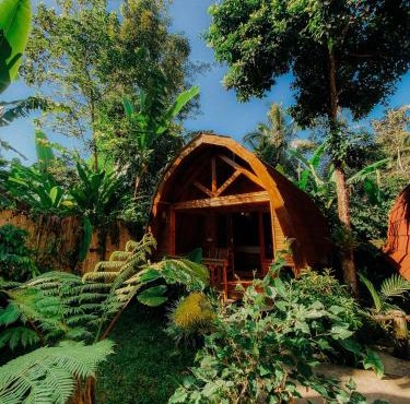 Coffee Homestay Tetebatu