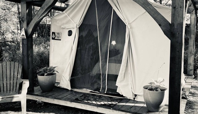 Cohen Glamping Tent, Hepworth, 3 Wooded Acres