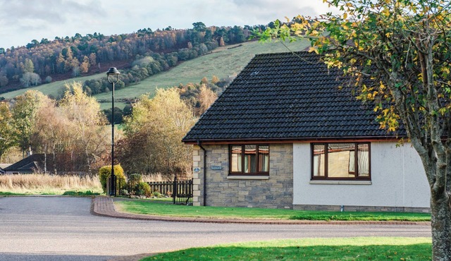 Coiltie House by Interhome