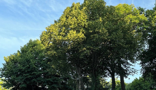 Coin de Paradis à 1 Heure de Paris