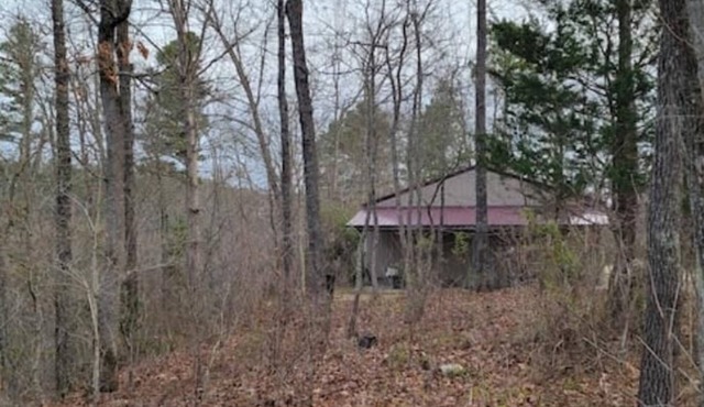 Collier Cabin in Pine Hollow ~ Eminence, MOnn