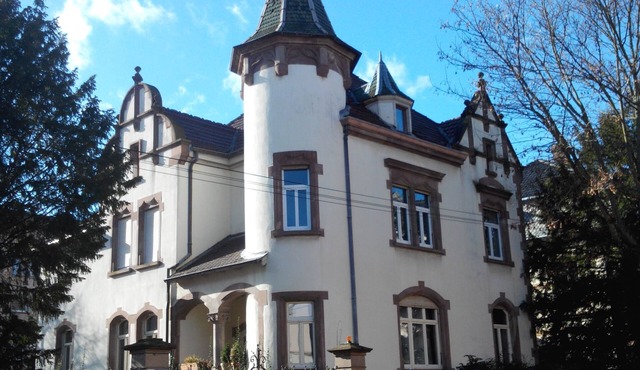 COLMAR IN MAISON DE MAITRE 2/4 PERS - NEAR TGV STATION