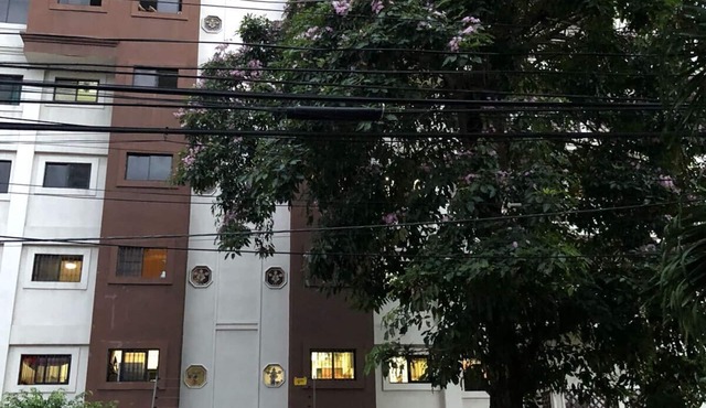 Colonial Zone/Santo Domingo/Nest in the Sky