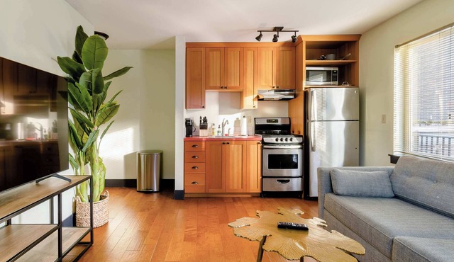 Color Splash - Fast WiFi - Heart of Hawthorne