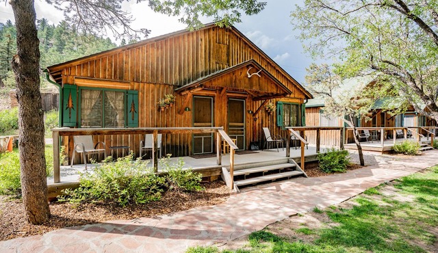 Colorado Bear Creek Cabin 2