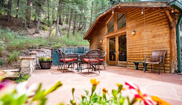 Colorado Bear Creek Log Home Cabin