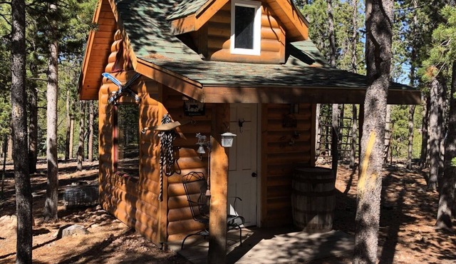 Colorado Mountain Lodge with New Hot Tub