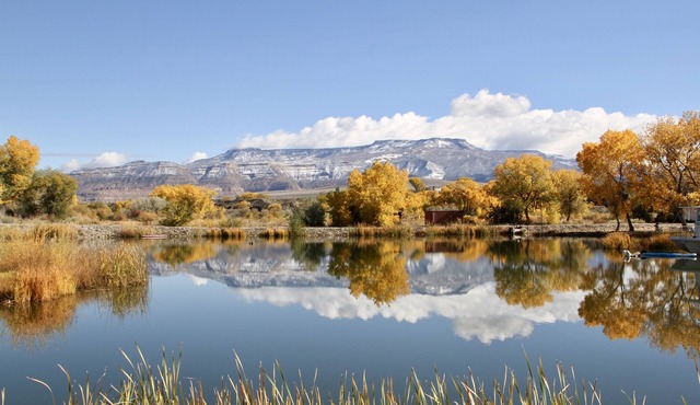 Colorado river guest house